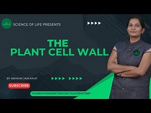 The Plant Cell Wall Unveiled: Structure, Function, and Significance | Science of Life.