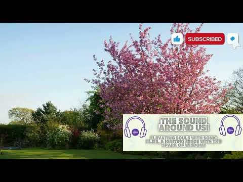 Serene Sounds of Trees Rustling