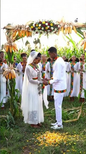 EPIC Ethiopian Wedding 🌄🌽 | Golden Stalks of Unity at Sunset