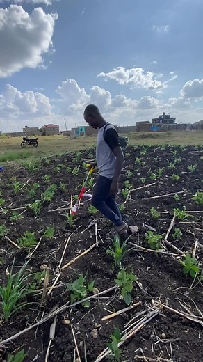 Fertilizer dispenser 😁 | FarmX