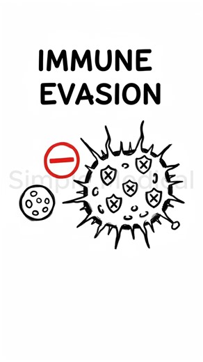 Immunity and Cancer😷💊🌡️#medical #cancer #health #immunity #healthandwellness #healthadvice #shorts