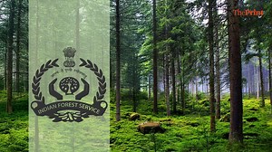 Once male bastion, Indian Forest Service is now only civil service with all-women national executive