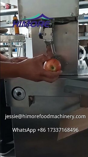 Automatic Apple Peeler Pear Peeler Machine
