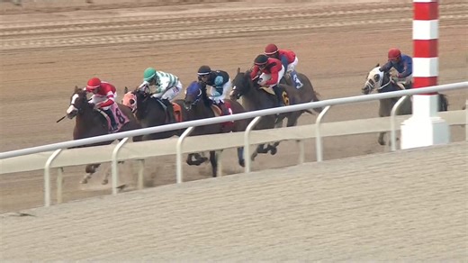 4.6K views · 68 reactions | FOURTH AND CENTRAL ($23.60) just kept finding more in the $100,000 FTBOA Florida Sire Dr. Fager Stakes at Gulfstream Park. Marcos Meneses piloted the 2YO gelding for trainer Michael Yates. | FanDuel Racing | Facebook