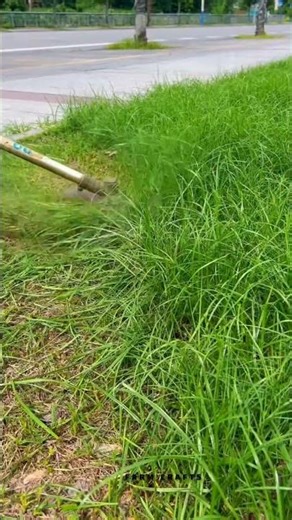 فرشاة سلكية مثبتة على جزازة العشب - إزالة سهلة للأعشاب الضارة والطحالب من شقوق الرصف