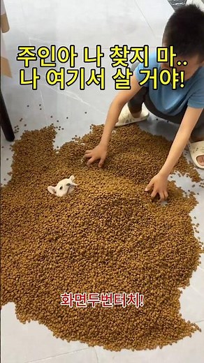 천국 주소가 여기 맞죠?