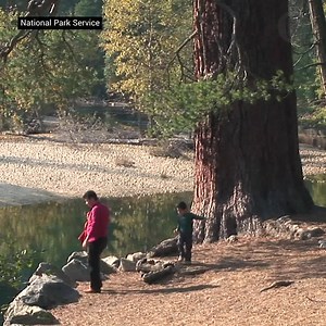 31K views · 90 reactions | Today is National Day of #Unplugging and what better place to unplug than one of America's national parks? If you can't get away, don't worry. We've got your virtual parks visit right here: Yosemite National Park, Zion National Park, Glacier Bay National Park and Preserve #nationaldayofunplugging | Pattrn | Facebook