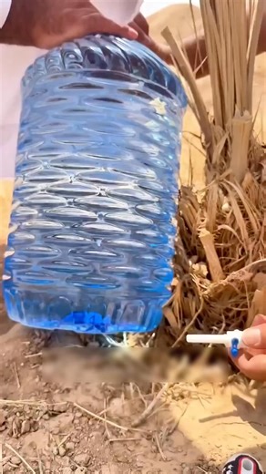166K views · 854 reactions | Farming techniques in dry land. #fbreels #reelsvideo #highlights #StarsEverywhere #hilightseveryonefollowers | Ur Scene | Facebook