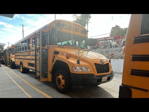 Zum Service Inc. 2023 Blue Bird Vision #241529