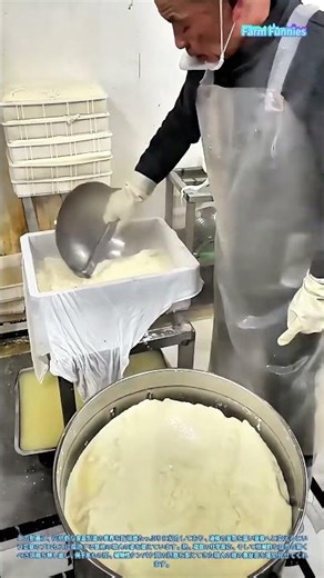 豆腐作りの技：凝固した豆乳を固いブロックへと圧搾する