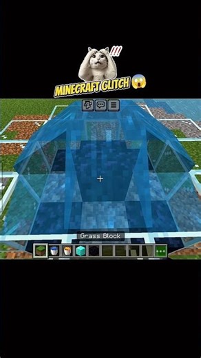 Minecraft’s Biggest Glitch?! 😱💎 | FrenzyOpz #minecraft #gaming #frenzyopz #shorts #viral #trending
