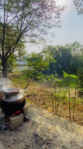 Exploring Rustic Outdoor Cooking with Nature
