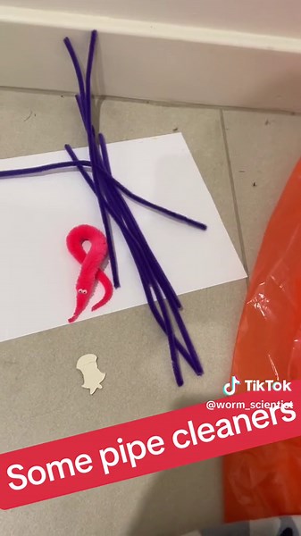 Summon Bunky Roo: A DIY Worm Cult Ritual