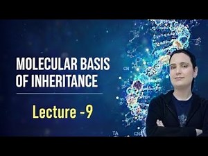 Molecular Basis of inheritance | DNA fingerprinting | Class 12 | NEET | School lecturer