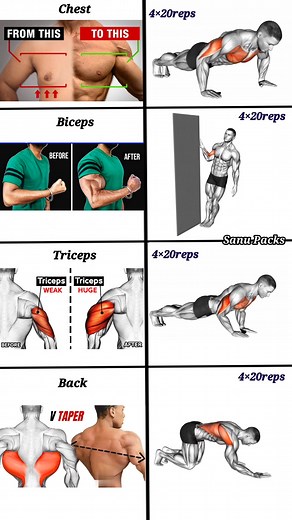 275K views · 3.7K reactions | ✅ Exercises for Chest,Biceps,Triceps & Back ! #fitness #gym #exercise #workout #workoutroutine #fitnesstips #exercisetips #bodybuilding #chest #biceps #triceps #lats | Sanu Packs | Facebook