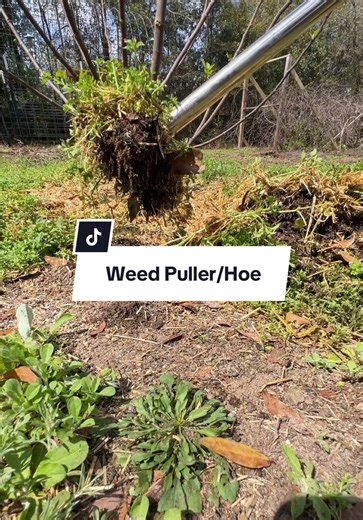 This weed puller and hoe combination tool makes weeding stupid easy. #weedpuller #hoe #gardeningtips #beginnergardening