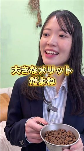 ドライ / ウェット / セミモイストフードの違い