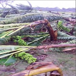 Work Moments In Agriculture Sector Join now: Farm Beats | Amazing Machine