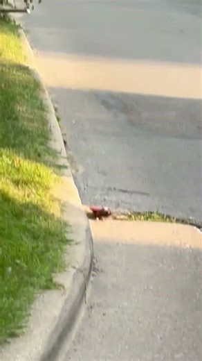 Me chasing down the ice cream truck ￼