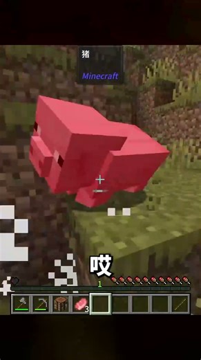 世界上只剩下0.1滴血！MC的生死關頭，讓你屏住呼吸 #我的世界 #Minecraft #游戏 #游戏解说 #生存