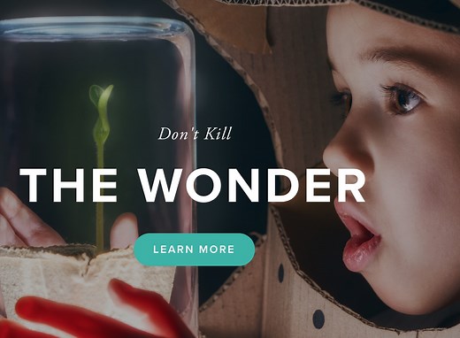 Mini Lessons — The Wonder of Science