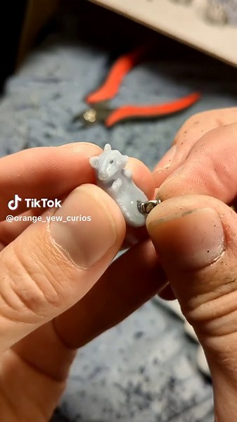 New Raccoon Merchandise Available Now!