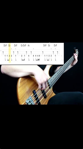 celebration 🎸 bassline!