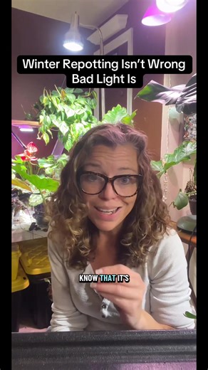 Repotting Plants in Winter: Understanding Light Conditions