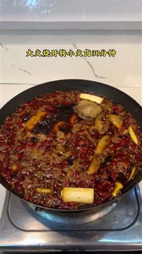 I Tried Making Chinese Braised Duck Hot Pot and Here’s What Happened! (卤鸭煲)