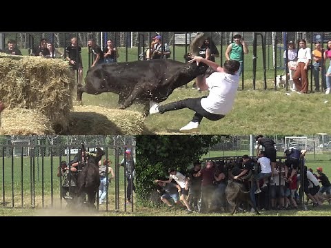 ST HILAIRE DE BRETHMAS ABRIVADO BANDIDO PARCOUR OUVERT + COURSE AU PLAN 21.05.2022