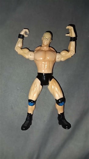 WCW Toy Biz Main Event Wrestlers Sting & "The Total Package"