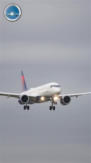 1.3K views | Airbus A220 Landing at Miami International Airport #deltaairlines #aviation #aviationvideo #aviationphotography #airbus #airbuslovers #AirbusA220 #aviation #aviationvideo #aviationphotography #Planes #planespotting #planespotting #airplanes #airplanespotter #airplanespotting | Florida Aviation | Facebook