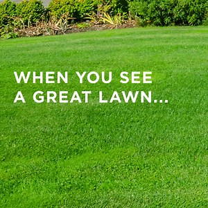 444 reactions · 19 shares | Get a thick, green, healthy, weed-free lawn you'll be proud of. | TruGreen | Facebook