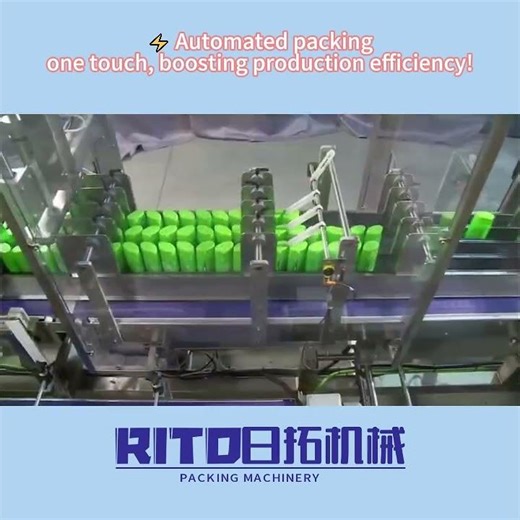 Automatic Case Packer Workflow Demo