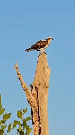 21 reactions | Lovers Key State Park- Park Site on Reels | Facebook