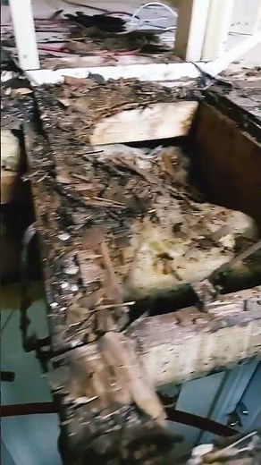 how to replace rotted floor down to the joists #work #diy #subfloor #renovation