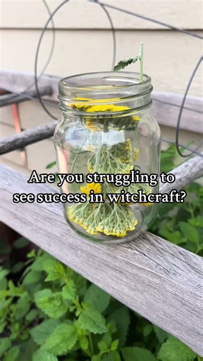 Interested in joining the Cosmic Coven? This is a place where magic is real and you are supported in your journey! Witches from all walks of life are gathering and learning together. If you are interested in: 🪄 monthly spells with step by step instructions and ingredient lists 🛸 Astro-herbalism potions and teachings to aupercharge your workings with the cosmic energies 🙏🏼 deity work such as offerings, alters, education and communication 🧬 magical community where we share information and sup