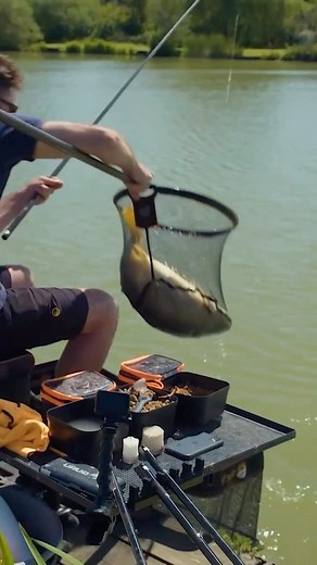 2K views · 100 reactions | Pastefishing with Rober Taylor 殺 #pastefishing #commercialfishing #carpodrome #pecheaucoup | Tackle Guru Benelux | Facebook