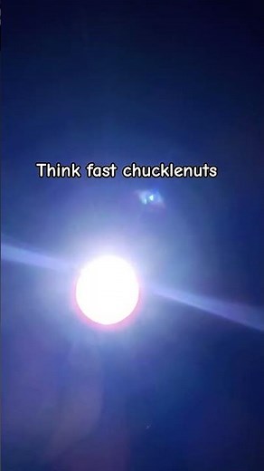 think fast chucklenuts 🙏🏻 #funny #memes #tf2 #teamfortress2 #vr #tf2memes #meme #scout