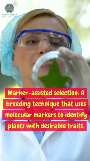Marker assisted selection #scienceeducation #cellularprocesses #biologylearning #biologyeducation
