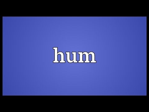 Hum Meaning