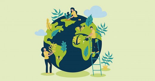 What is FSC certified and why is it important? | Openprint