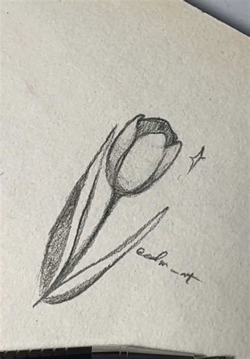 Aprende a dibujar un tulipán fácilmente