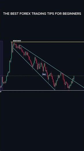 The Best Forex Trading Tips For Beginners