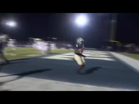 Georgia high school football playoffs resume after fight suspensions resolved