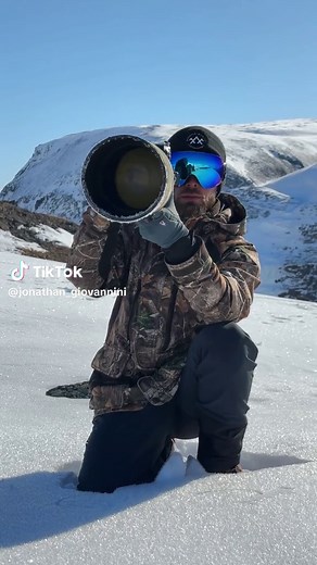 Amazing Wildlife Encounters in the Snow