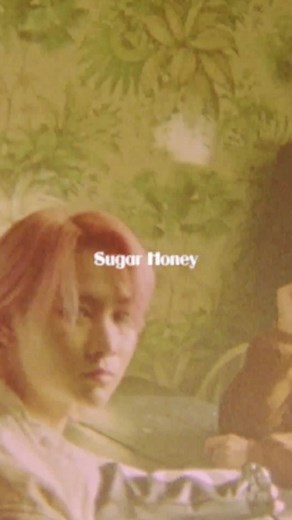 Wolf Howl Harmony Concept Video: Sugar Honey
