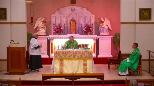 The United States Conference of Catholic Bishops offers the daily readings enabling viewers like you to accompany the Mass of the day as it is televised: https://bible.usccb.org/daily-bible-reading/. They are also the perfect way to find time in your day for spiritual reflection. Listen, watch, or read from the comfort of your home. USCCB includes the readings of the day, along with online videos, and is a resource for all who desire to live a life of faith that is pleasing to our Lord. | Corpus