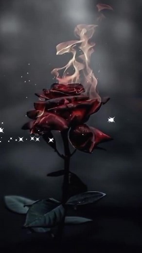 Videos de Ursula Martinez (@ursulamartinez18) con “original sound - The Doors”