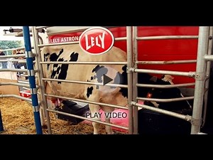Lely's Automated Milking Machine - The Astonaut A4